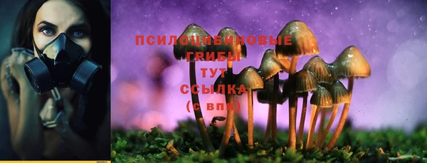 кокаин перу Белокуриха